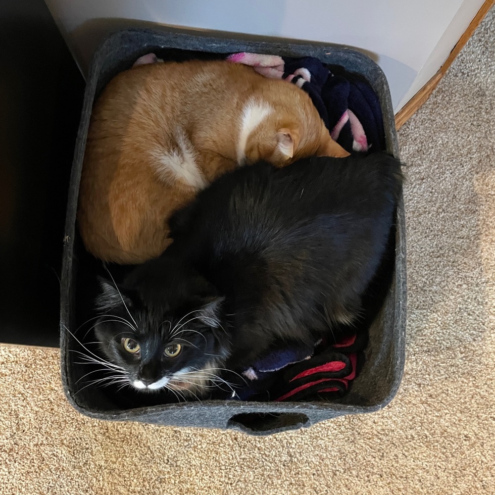 Meet your Posher, Jennifer